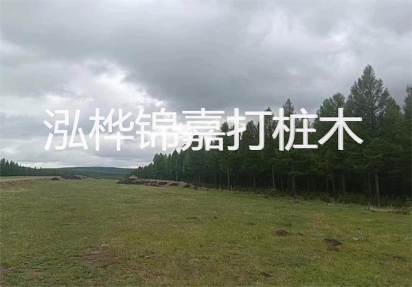 軟土地基加固措施，保障建筑穩(wěn)固